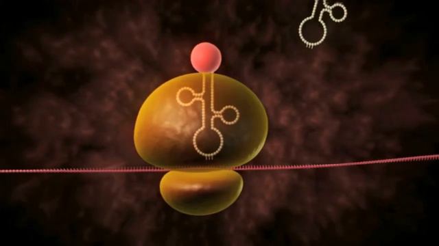 Neovasculgen®: Mechanism Of Action