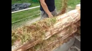 Сборка сруба на мох | Вепсский Сруб