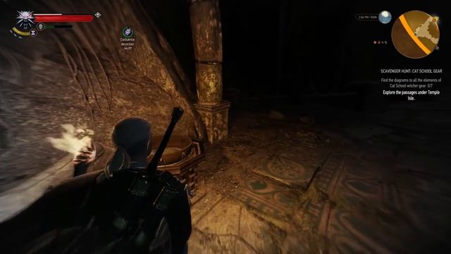 [Cat School Gear! Temple Isle and Flying Stag] ► Let's Play The Witcher 3: Wild Hunt - Part 50 смотреть онлайн