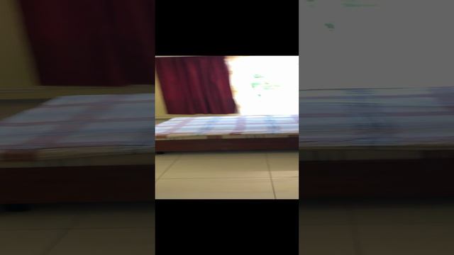 Отдых в Мисхоре в Апартаментах в розах