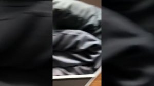 Поезд 030 «Москва-Новороссийск»