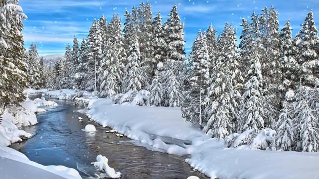 Фон осень/зима - предзимье. Лес, река, вода, снег, деревья - футаж для видео монтажа зимний фон смотреть онлайн