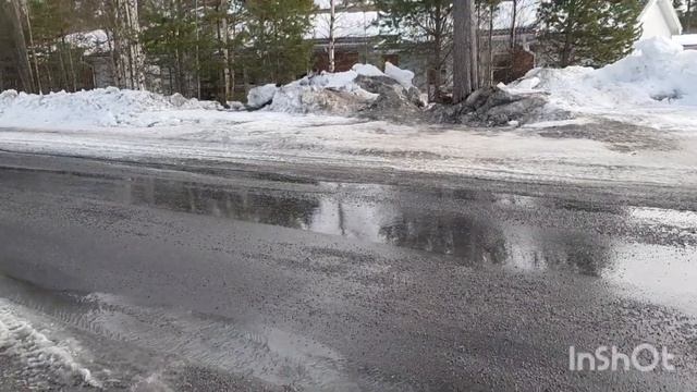 Повесила кормушку для белок и птиц! смотреть онлайн