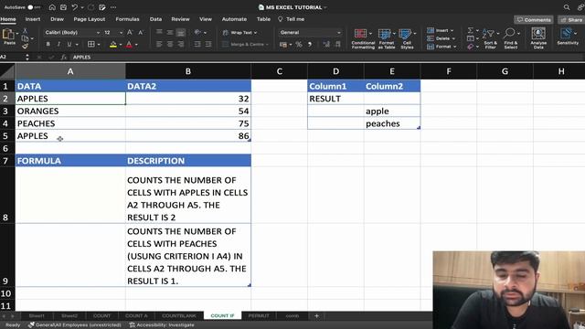 #34 Ms Excel Count Functions || CountIF, CountA, CountBlank, Permut, Combin смотреть онлайн