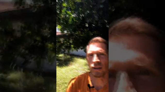 Интуиция. Как выбрать любимое? смотреть онлайн