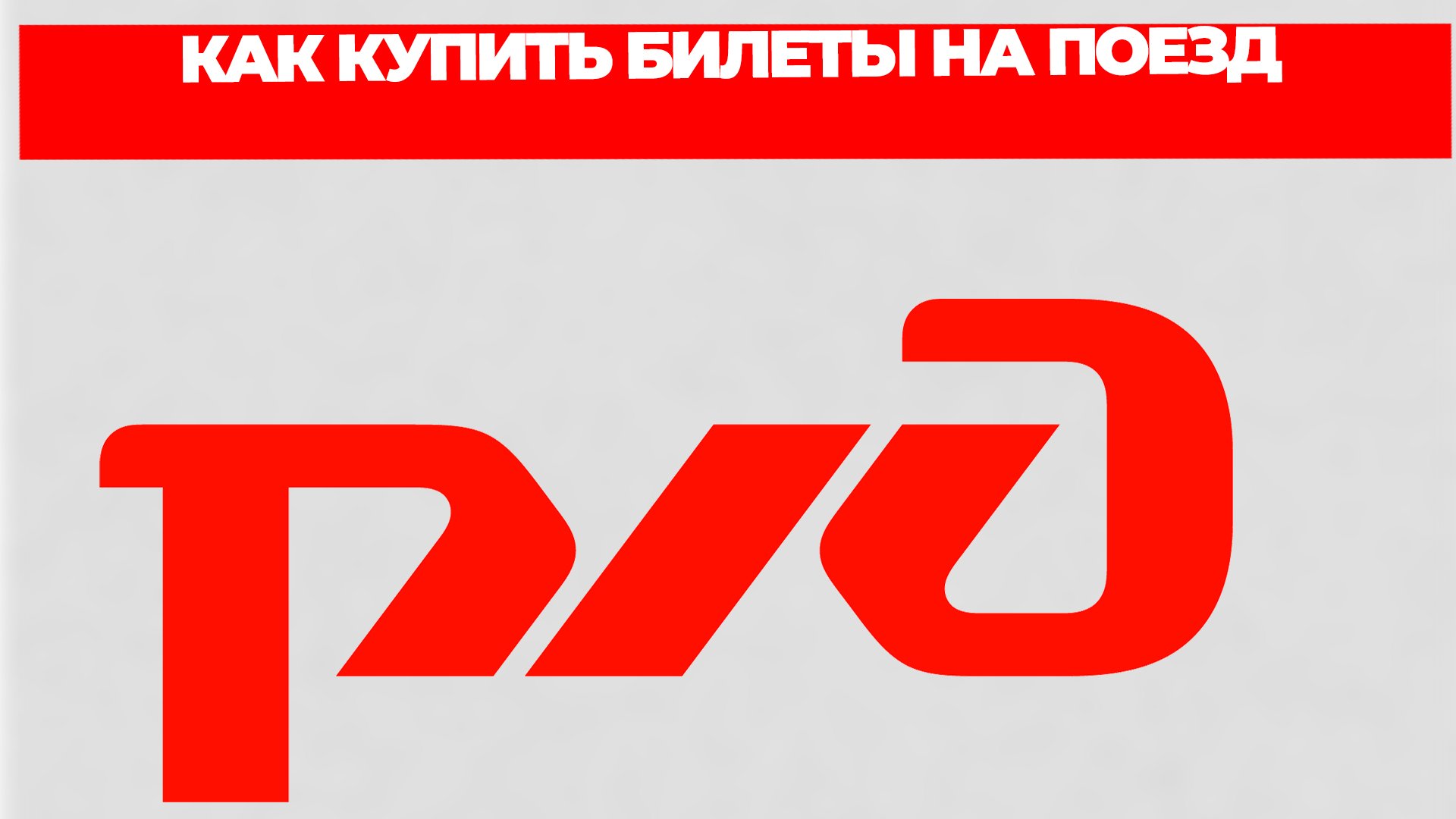 Всезнающий Енот