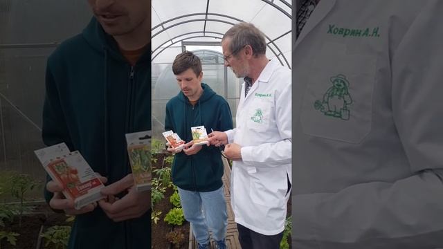 Защита растений в теплице по принципам органического земледелия. ГРЯДКА ЗДОРОВЬЯ. 4 серия. смотреть онлайн