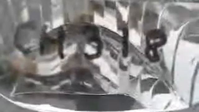 SKI DOO SKANDIC 800 SWT