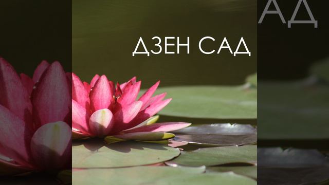 Фоновая музыка смотреть онлайн