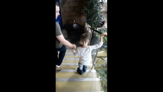 День Рождения Артема! смотреть онлайн
