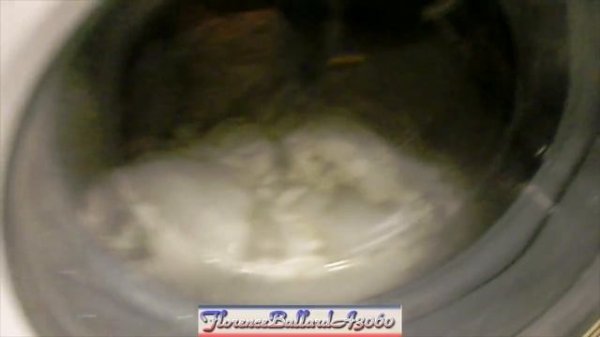 British Heart Foundation - Bosch Classixx 6 1200 Express WAE24364GB