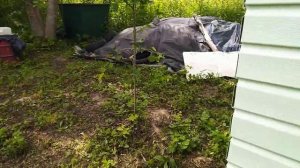 Дачный туалет с септиком из бочки