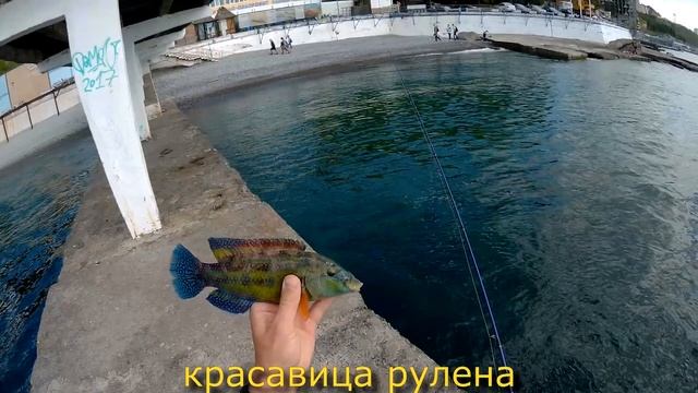 рыбалка в Ялте 19 04 2018 смотреть онлайн