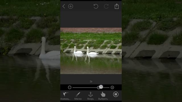 как сделать живое фото с телефона смотреть онлайн