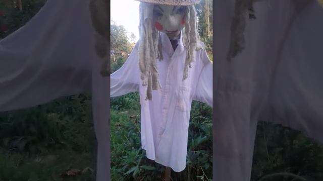 Защита кур от хищных птиц. Пугало огородное. Семейка ЧучЕло. смотреть онлайн