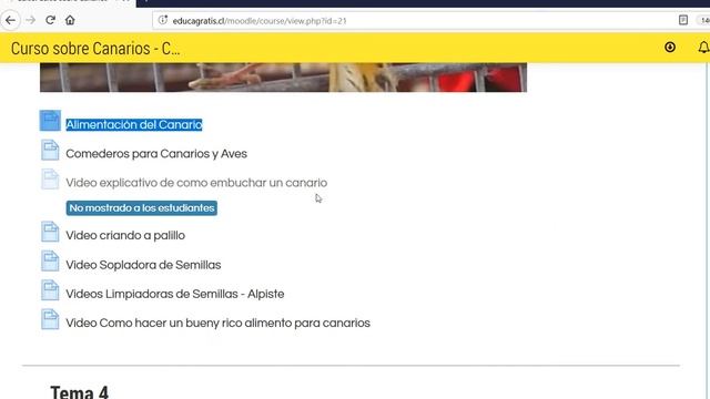 Curso sobre Canarios - Canaricultura смотреть онлайн