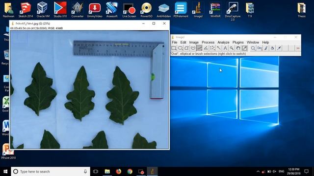 How to measure leaf area in ImageJ program смотреть онлайн