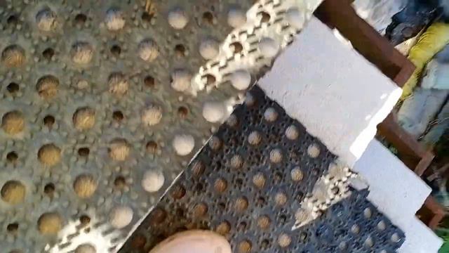 Я на даче у семьи Этуси смотреть онлайн