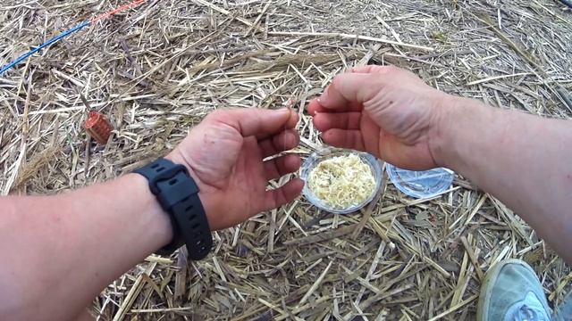 РЫБАЛКА НА ДОНКИ В КОНЦЕ МАЯ.САЗАНЧИКИ КЛЮЮТ АКТИВНО. смотреть онлайн