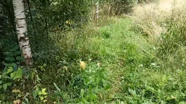 ЗНАКОМСТВО С ДЕРЕВЕНСКОЙ БАНЕЙ смотреть онлайн