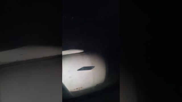 1 января 2024 г. смотреть онлайн