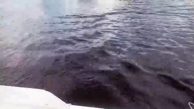 Minn Kota Endura Max лучший двигатель для спокойный рыбалки.тест скорости