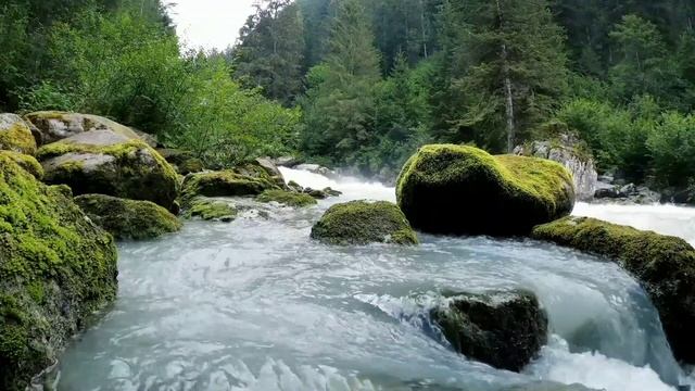 Бұлақ сылдыры. Табиғаттың дауысы. Миды тынықтыру. Звуки природы для сна, Звук ручья, Звуки для сна смотреть онлайн