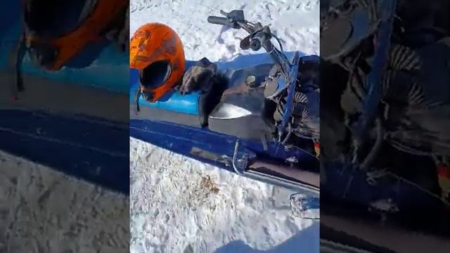 73 Polaris colt running смотреть онлайн