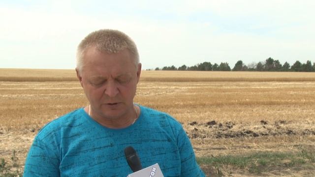 Когда пшеничка тучная,тогда и уборка не скучная смотреть онлайн