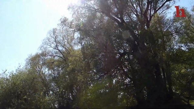 Donau- und Auwald-Tour mit Schlauchboot von Hainburg смотреть онлайн