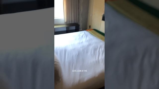 First time in LA!?✨ #travel #california #dtla #chelsiewrath смотреть онлайн