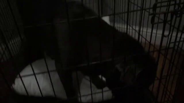 Miss galee смотреть онлайн