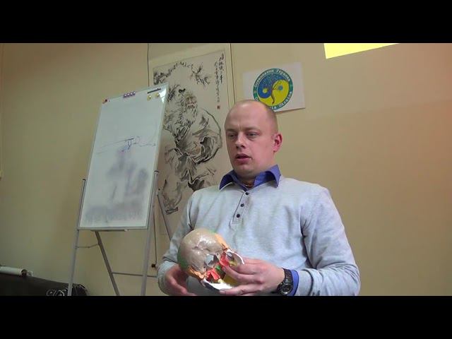 Семинар Краниосакральная терапия 3 ЧЕРЕПНО-МОЗГОВЫЕ НЕРВЫ КСТ3_08 смотреть онлайн