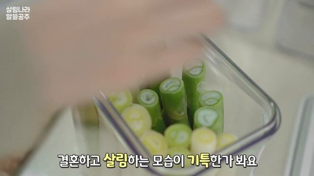 ENG | 기다리던 바퀜 도착!?냉장고 정리해 드리고 솥밥 만들어 먹기 | 식재료정리 | 주방살림 смотреть онлайн