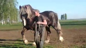 Запас .Советский тяжеловоз. Продан!