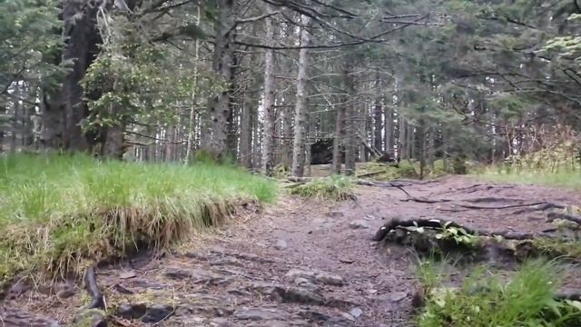 Кодиак, Аляска 2020 смотреть онлайн