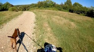 Прогулка с ПИТБУЛЯМИ НА МОТОЦИКЛЕ !!! Кто на этот раз НАРВАЛСЯ на Мусу !!?? Очень нервная прогулка