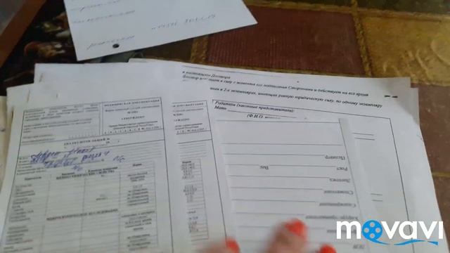 Пополнение. Оформление в садик. Развлечения детей смотреть онлайн