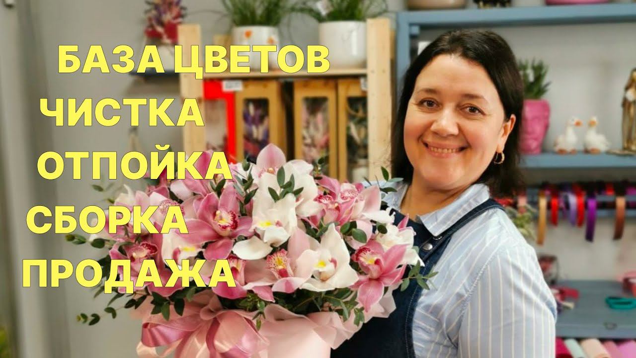 Неделя флориста | Как я ставлю цветы в холодильник и многое другое! смотреть онлайн