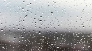 Звук дождя для сна без грома // Успокаивающий шум дождя без грозы.