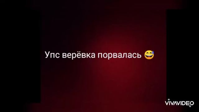 Забег борзых