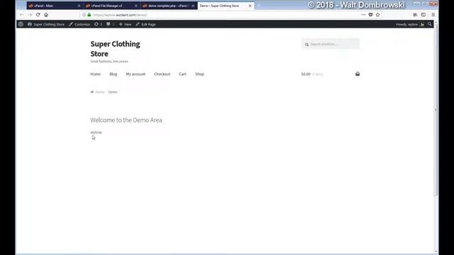 WordPress Tip of the Week - Week 9 - Displaying the Current User Name and User ID in a Template смотреть онлайн