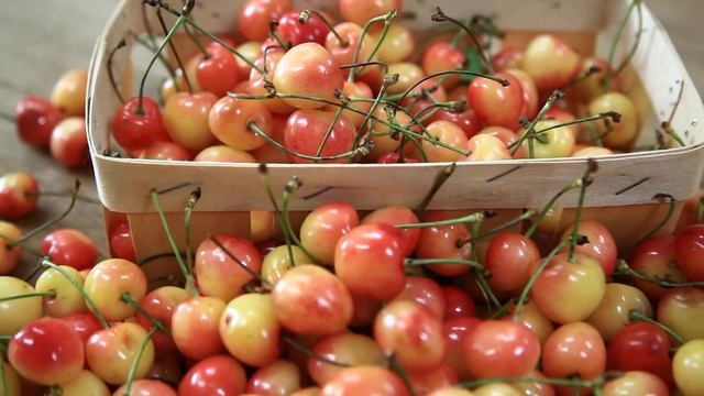 Розовая черешня! смотреть онлайн