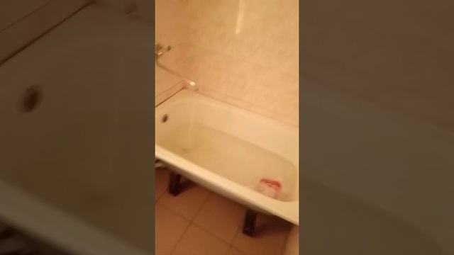 как размораживают студенты 1 курса курицу