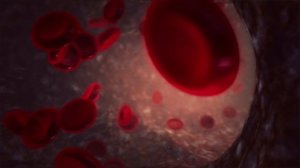 Влияние стресса на организм