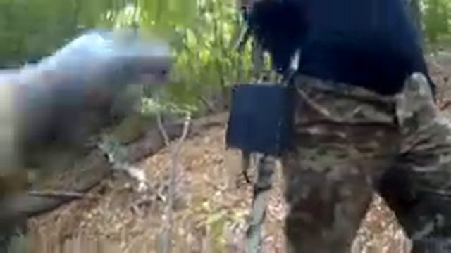 Батя нак выкопал! Интересное место! Dad found the arrowhead of the nomads! смотреть онлайн