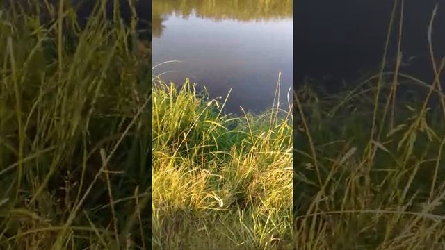 Обзор речки колпь смотреть онлайн