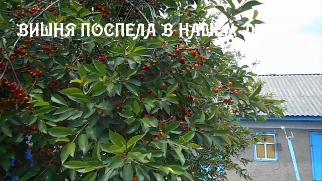 Просто...хорошее настроение...хорошая песня...последний день весны!... смотреть онлайн