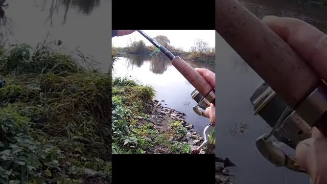 Рыбалка на щуку. Река Упа. Рыбалка на хищника на Упе. смотреть онлайн