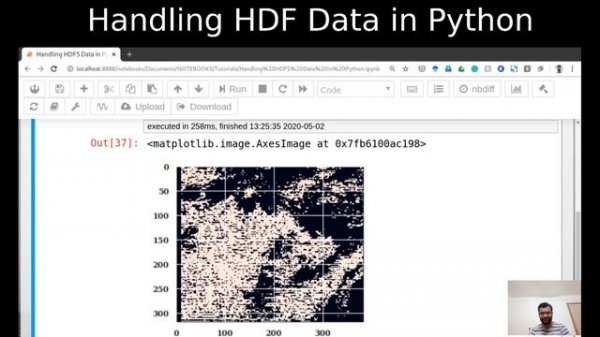 How to read and plot HDF5 file in python ?